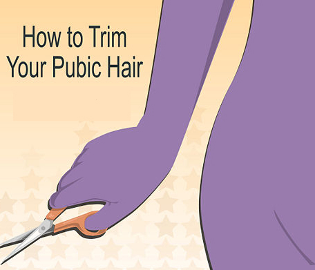 vedvarende ressource Stramme marxisme How to Trim Your Pubic Hair - Carezza